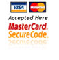 Master_visa_secure